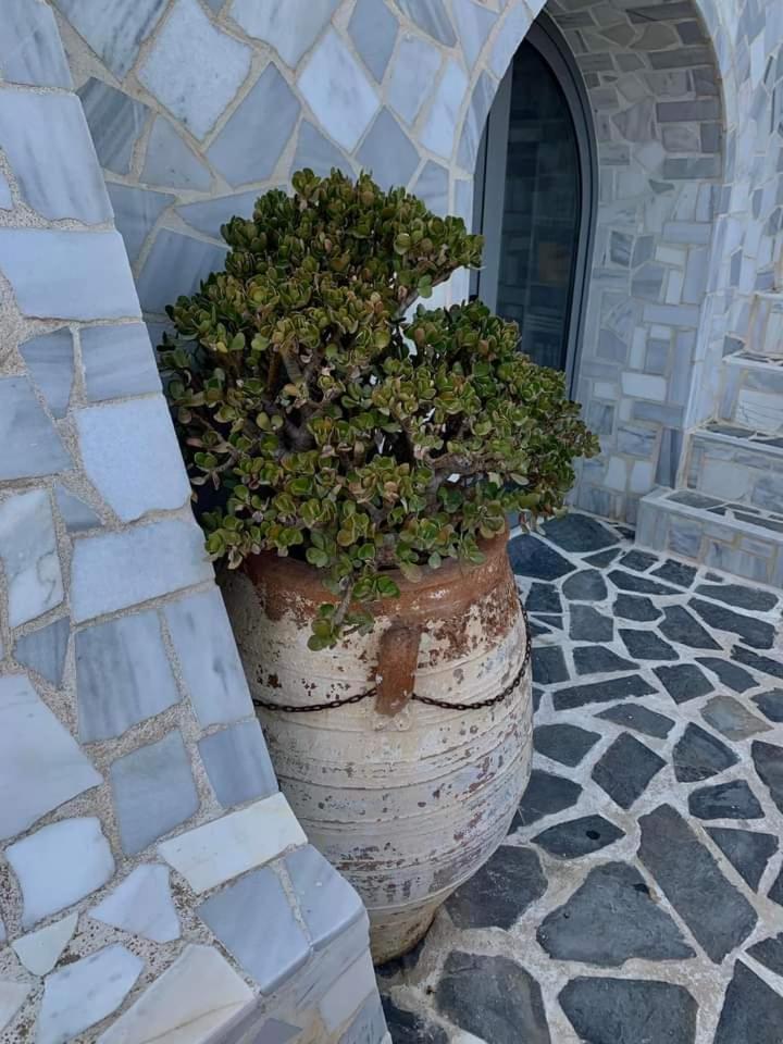 Πέτρινο Στη Θάλασσα Apartment Nafpaktos Luaran gambar